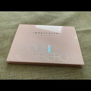 Anastasia Beverly Hills Nicole Guerriero Glow Kit. Swatched
